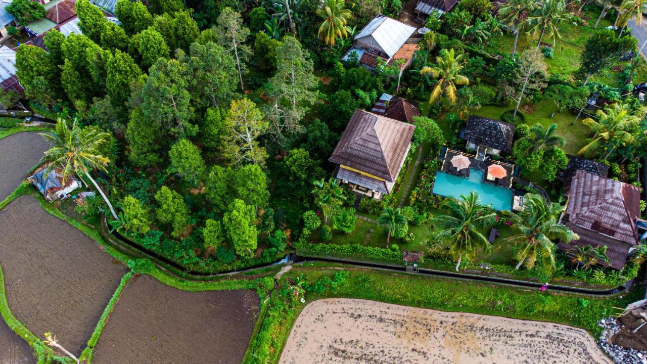 Villa Manuk Singaraja Exterior foto